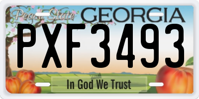GA license plate PXF3493