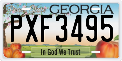 GA license plate PXF3495