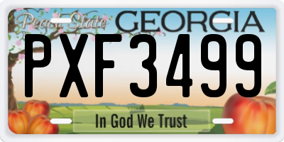 GA license plate PXF3499