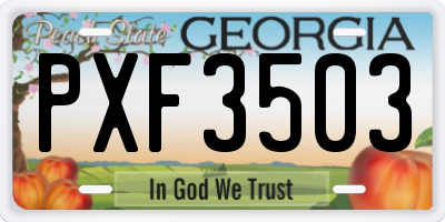 GA license plate PXF3503