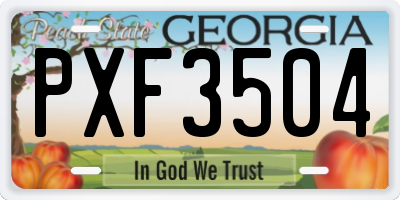 GA license plate PXF3504