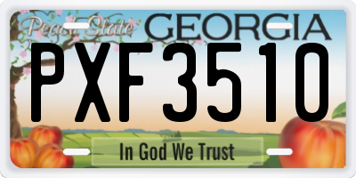 GA license plate PXF3510