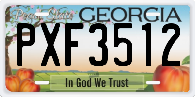 GA license plate PXF3512