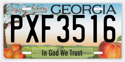 GA license plate PXF3516