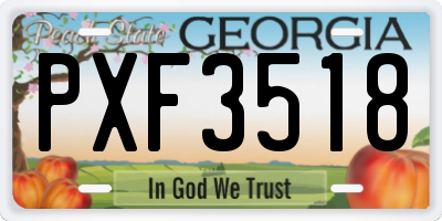 GA license plate PXF3518