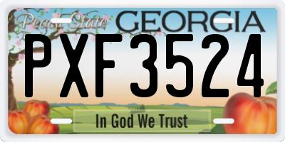 GA license plate PXF3524