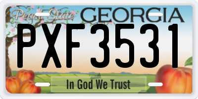 GA license plate PXF3531