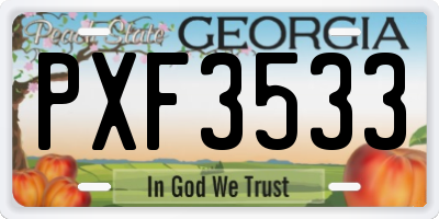 GA license plate PXF3533