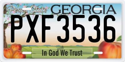 GA license plate PXF3536