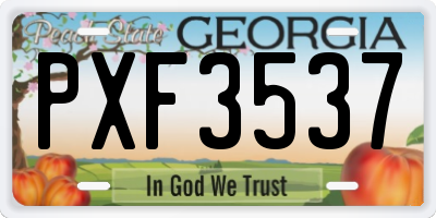 GA license plate PXF3537