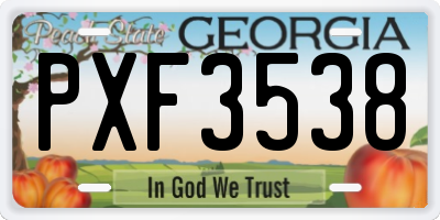 GA license plate PXF3538