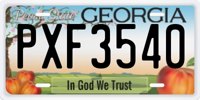GA license plate PXF3540