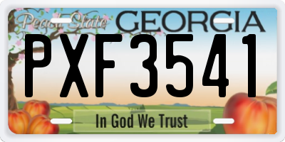 GA license plate PXF3541