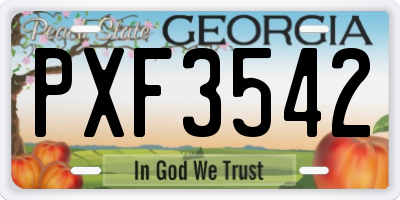 GA license plate PXF3542