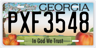 GA license plate PXF3548