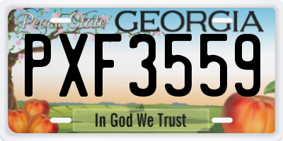GA license plate PXF3559