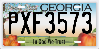 GA license plate PXF3573