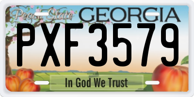 GA license plate PXF3579