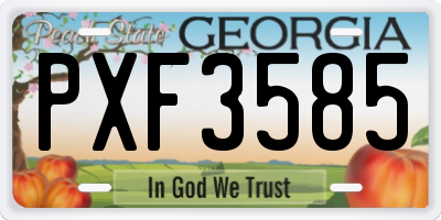 GA license plate PXF3585