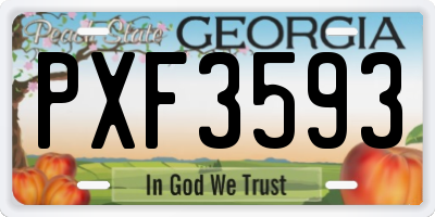 GA license plate PXF3593
