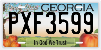 GA license plate PXF3599