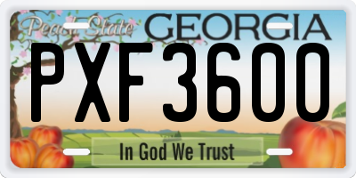 GA license plate PXF3600