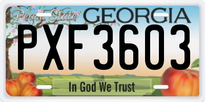 GA license plate PXF3603