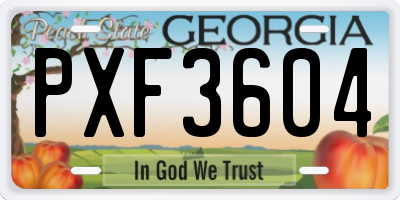 GA license plate PXF3604
