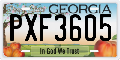 GA license plate PXF3605
