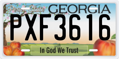 GA license plate PXF3616