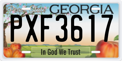 GA license plate PXF3617