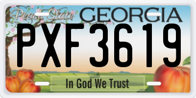 GA license plate PXF3619