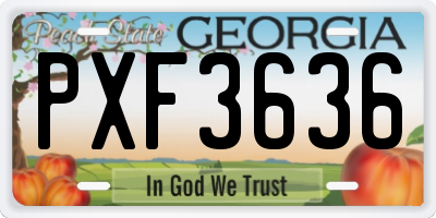 GA license plate PXF3636