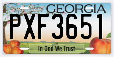 GA license plate PXF3651