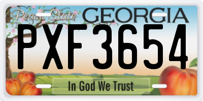 GA license plate PXF3654