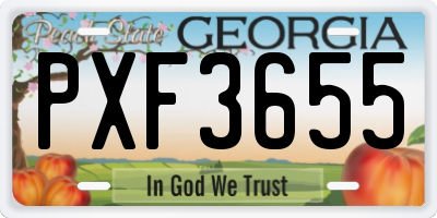 GA license plate PXF3655