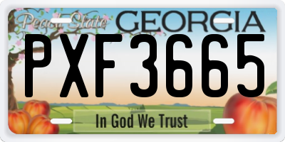 GA license plate PXF3665