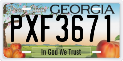 GA license plate PXF3671