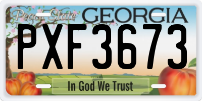 GA license plate PXF3673