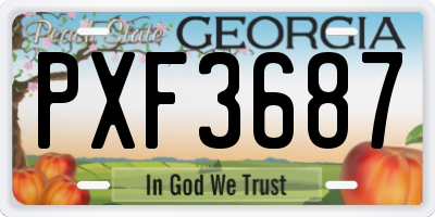 GA license plate PXF3687