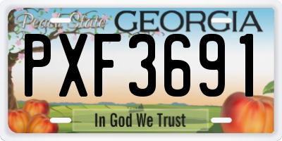 GA license plate PXF3691