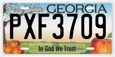 GA license plate PXF3709
