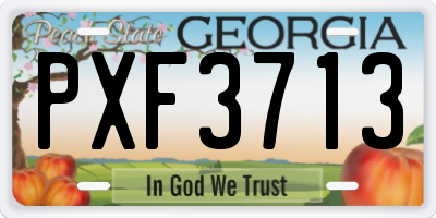 GA license plate PXF3713