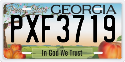 GA license plate PXF3719