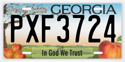 GA license plate PXF3724