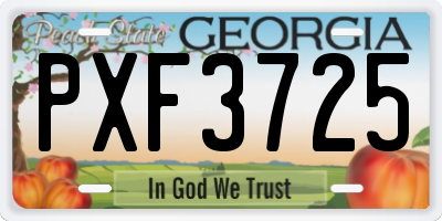GA license plate PXF3725