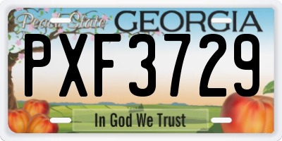 GA license plate PXF3729