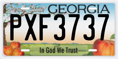 GA license plate PXF3737