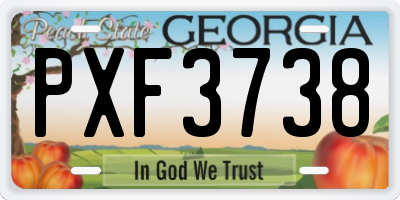 GA license plate PXF3738