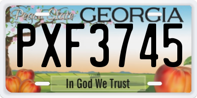 GA license plate PXF3745
